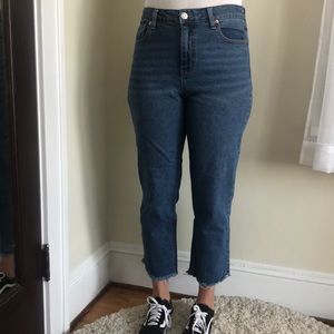 Wild fable Jeans